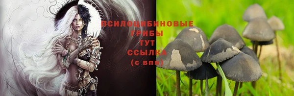 бошки Арсеньев