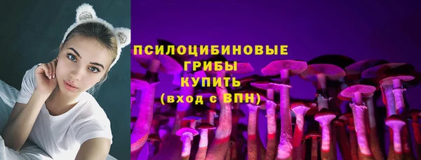ECSTASY Армянск