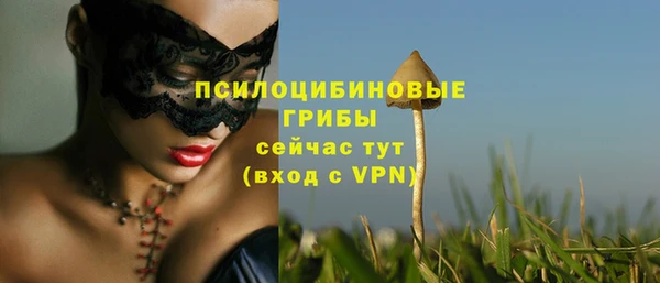 тгк Дубна