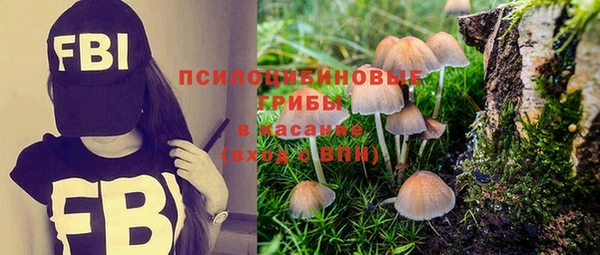 бошки Арсеньев