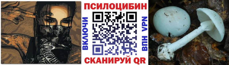 Псилоцибиновые грибы Cubensis  Купить где  Калининск 
